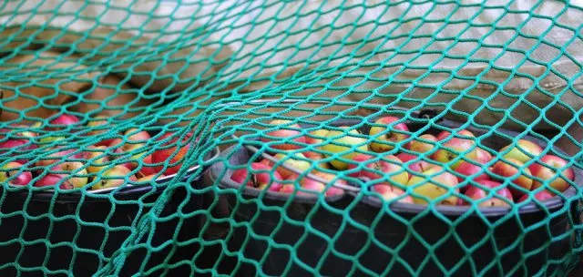 Siatka na kontener – obowiązkowe wyposażenie wielu firm