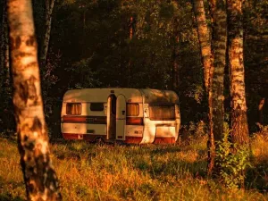 Jakie aplikacje do diagnostyki pojazdów są najlepsze?